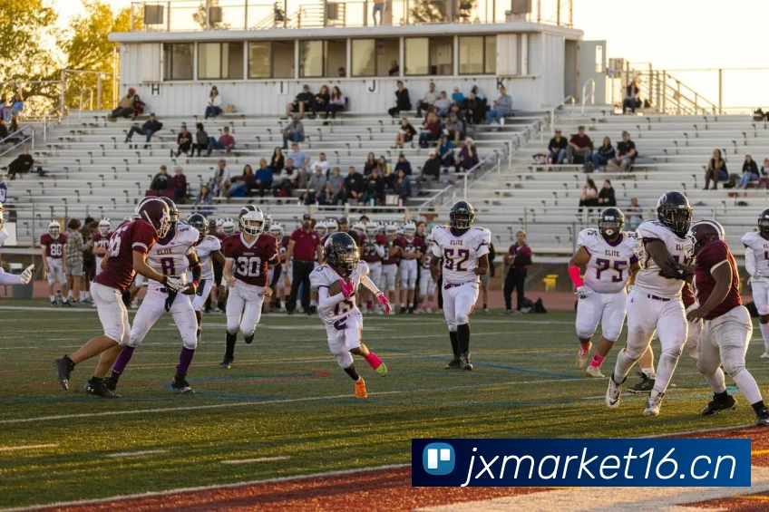 开云手机官方版在线入口 - 开云(中国)发展历程