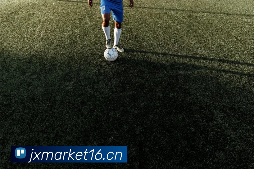 App Interface Preview